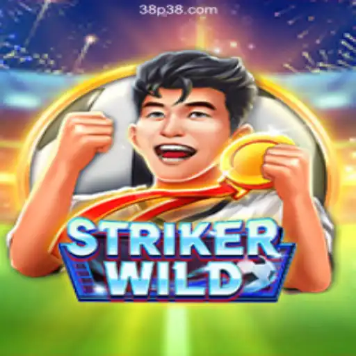 Discover the Thrilling World of StrikerWILD